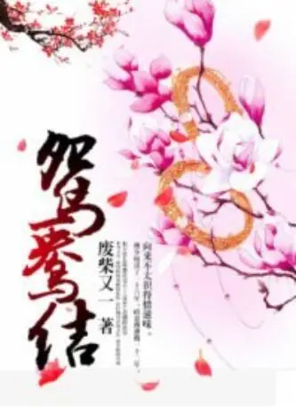 《鸳鸯结》：跨越时空的爱恋纠葛，一场宿命的浪漫探案之旅！