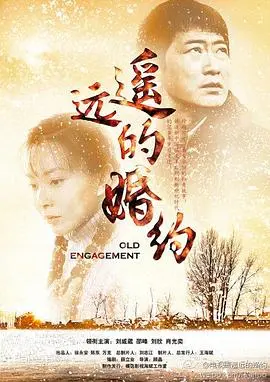 遥远的婚约：职场剧天花板？看完我只想说，这剧有毒！